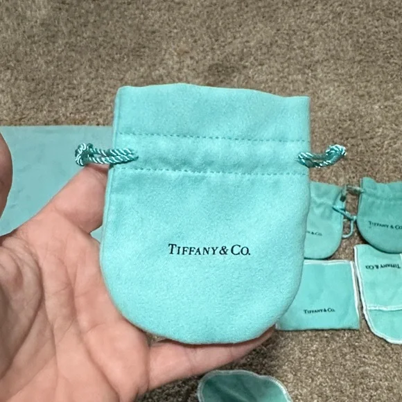 Tiffany & Co. Turquoise Pouch Collection - Picture 7 of 16